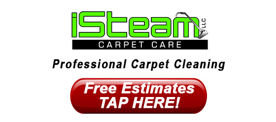 Carpet Cleaning Chattanooga TN